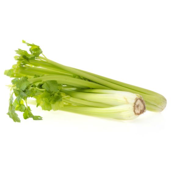 Celer řapíkatý BIO (ks) /CZ/