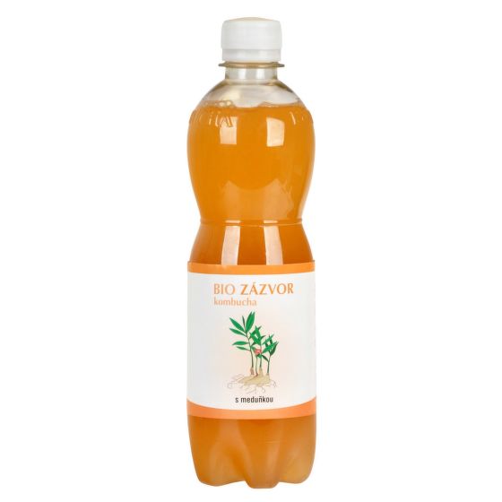 Kombucha zázvorová s medovkou 500 ml BIO   STEVIKOM