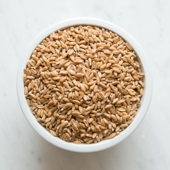 Pšenica špalda BIO vážená (cca 100 g)