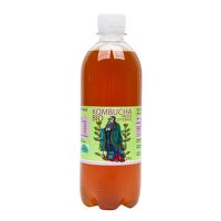 Kombucha medovka 500 ml BIO   STEVIKOM