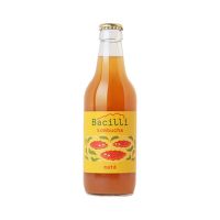 Kombucha Maté 330 ml BIO   BACILLI