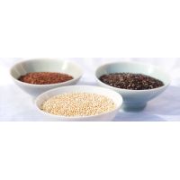 Quinoa – výživná, lahodná, univerzálna